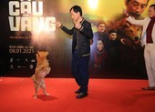 Những hình ảnh Cậu Vàng pose dáng trên thảm đỏ