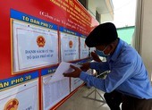 Nhờ người khác đi bầu cử thay có được không?
