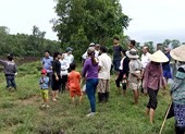 Nhà máy đường Tuy Hòa xả nước thải chưa xử lý ra môi trường