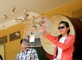 Số phận nghiệt ngã của những chú chim 'được' phóng sinh