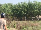 Bình Dương: Một thi thể cháy đen cạnh xe máy có 2 nón bảo hiểm