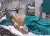 Suýt chết vì bị heo đạp, gà mổ chơi chơi