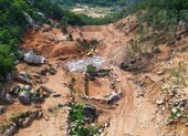 Bà Rịa- Vũng Tàu khởi tố vụ án hủy hoại rừng ở núi Thị Vải