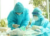Trưa 6-7 thêm 248 ca mắc mới, 209 ca ở TP.HCM, 46 ca đang điều tra dịch tễ