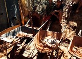Hầm vàng hơn 100 m ngụy trang trong rẫy chanh dây