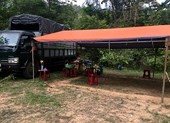 Ổ xóc đĩa 30 người trong rừng giáp ranh