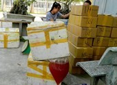 Hàng trăm ký thịt bò bốc mùi trên xe khách