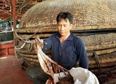 Ngư dân khóc ròng vì thương lái Trung Quốc không mua mực