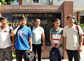 Cục Kiểm lâm lên tiếng về vụ cưa gỗ khô bị tội