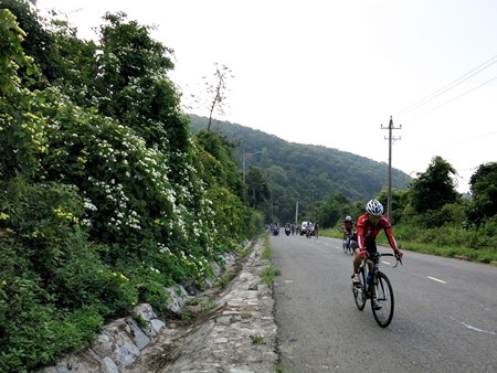 Bán đảo Sơn Trà