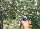 Bẫy chim bằng keo dính, một kiểu tận diệt chim trời