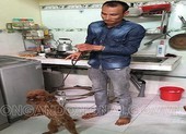 Trên đường đi uống thuốc cai nghiện, trộm luôn chó cảnh