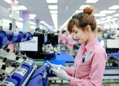 Trong tâm bão Covid-19 vẫn có 7 mặt hàng Việt Nam đạt tỉ USD