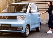 Những mẫu ô tô điện giá dưới 300 triệu đồng khiến nhiều người Việt mơ ước