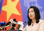 Việt Nam nói về việc Mỹ điều tra sản phẩm gỗ dán