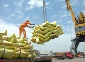 Bộ Công Thương giải thích về xuất khẩu 400.000 tấn gạo