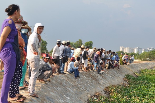 Phát hiện xác chết trong đám lục bình