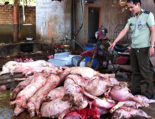 Phát hiện nửa tấn thịt heo thối tại Đồng Nai