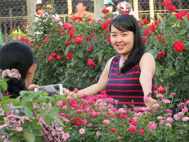 Hàng ngàn người về Sa Đéc ngắm hoa