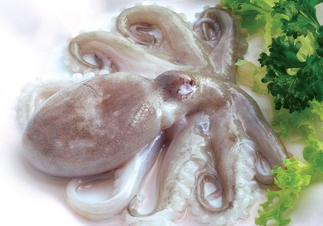 7 loại hải sản có thể gây chết người bạn phải biết
