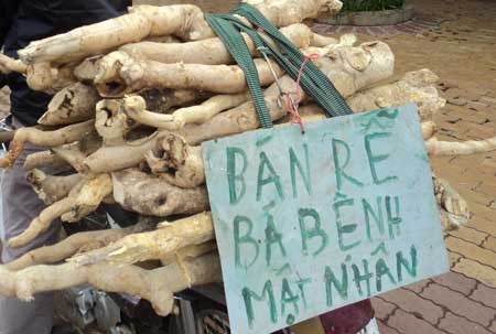 'Thần dược' trị bá bệnh tung hoành trên… vỉa hè