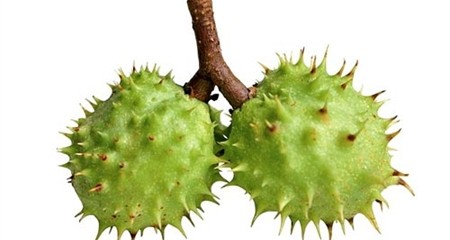 Những hiểm họa đe dọa 'túi giống' của đàn ông