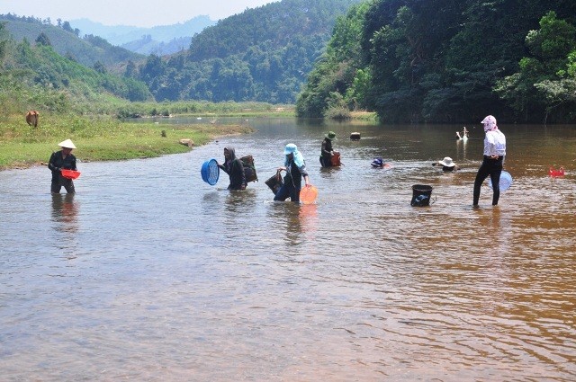 Người dân đón ‘lộc trời’ dưới... chân cầu