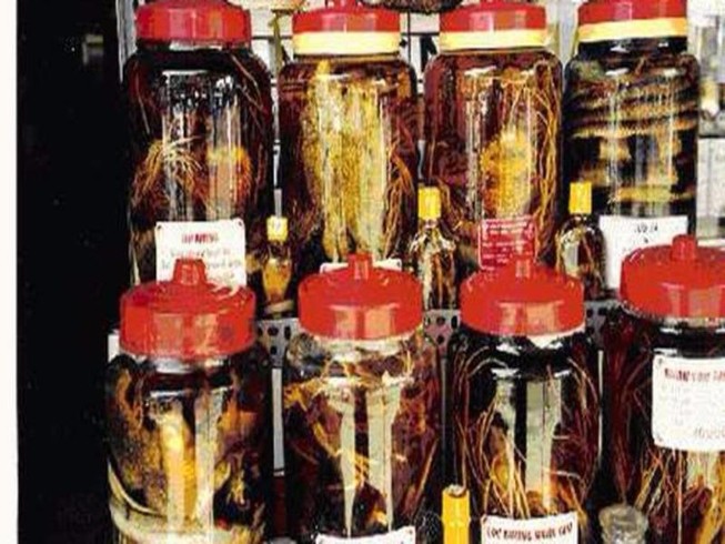 Rượu thuốc, bổ đâu chưa thấy chỉ thấy… bổ ngửa
