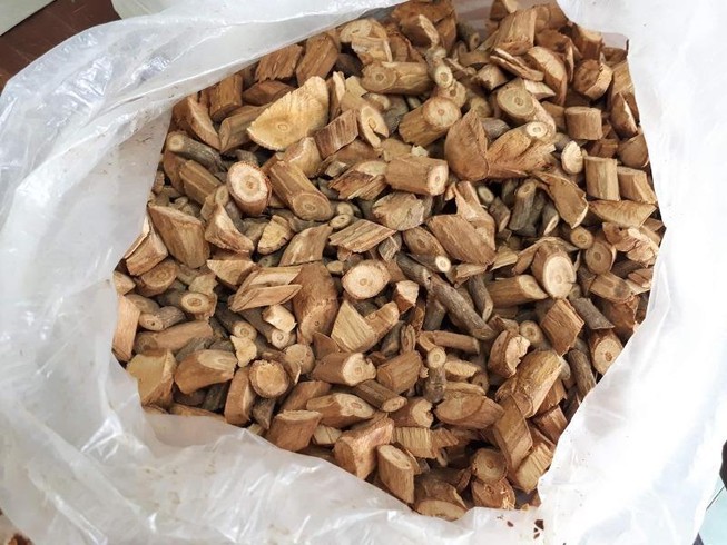 Uống rượu ngâm rễ cây: 1 người thoát chết do nôn hết