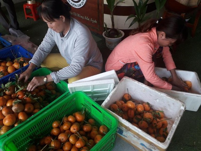 Chủ nhà ăn trái cây trước khách mới dám ăn sau