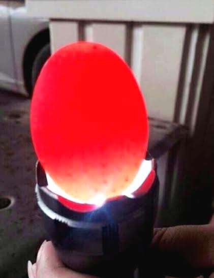 Ôm nợ vì đua nhau mua 'đá lạ' cho thương lái TQ