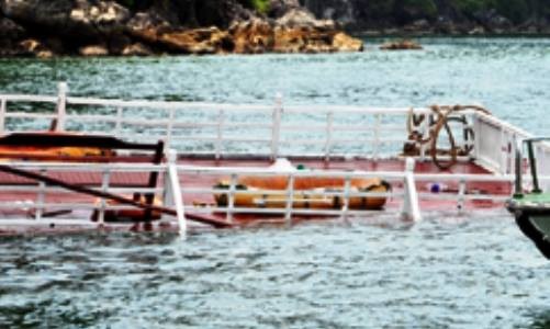 Tàu du lịch chở 48 khách bị đâm chìm tại vịnh Hạ Long