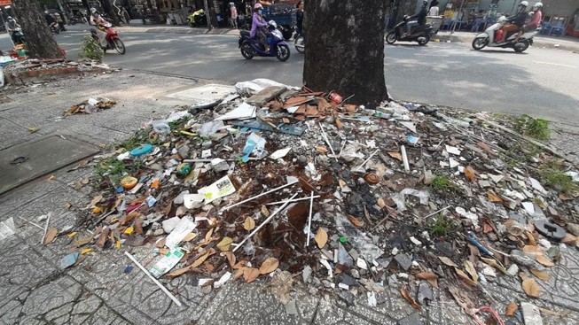 Những gốc cây 'nghẹt thở' bởi rác xà bần