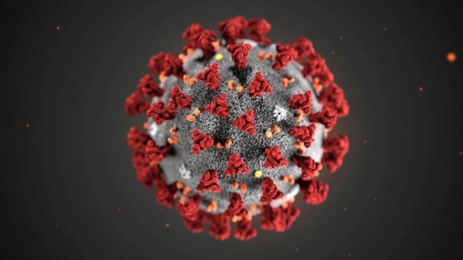 Hà Nội sẵn sàng ứng phó với virus Corona