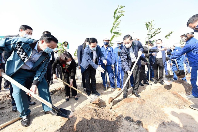 Ông Chu Ngọc Anh: năm 2021, Hà Nội trồng 300.000 cây xanh