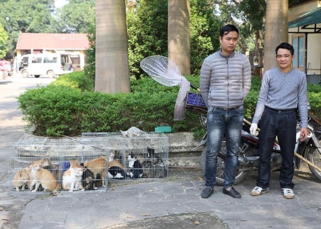 Hình sự mật phục bắt nhóm chuyên trộm mèo