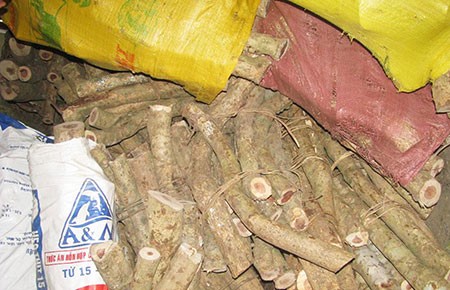 Méo mặt vì gom hàng “lạ” bán sang Trung Quốc