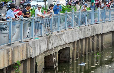 Nhắc nhở 700 trường hợp câu cá trên kênh