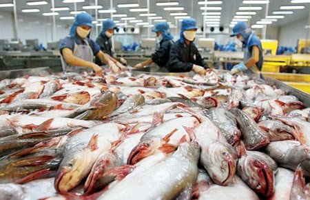 Quy định mới làm khó xuất khẩu cá tra