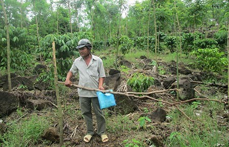 Một kiểm sát viên bị tố chạy án
