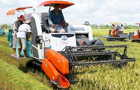 Dân mừng vì trúng giá gạo vụ hè thu