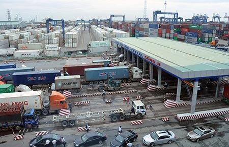 Ma trận phí tàu biển “đè” doanh nghiệp