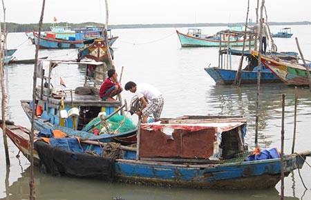 Cần Giờ: Bỗng nhiên ‘phải’ thoát nghèo