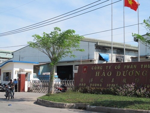 Phạt Công ty Hào Dương gần 6,4 tỉ đồng