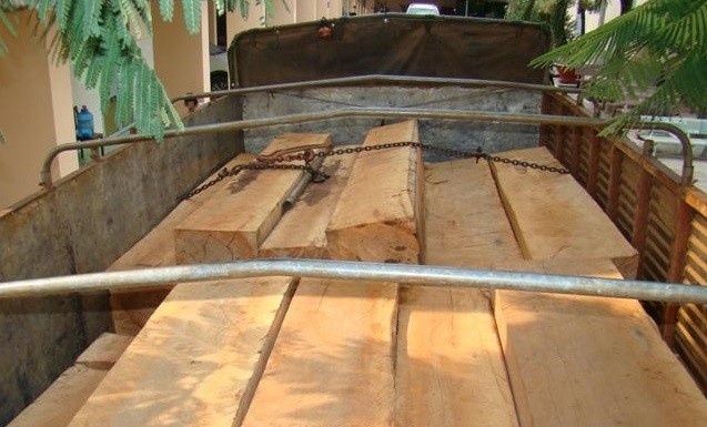 Điều tra vụ vận chuyển gỗ trắc liên quan đến Công ty Đại Nam