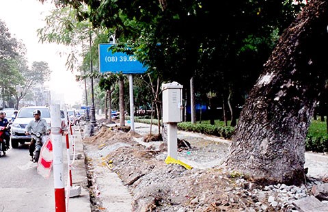 Đốn cây xanh hàng loạt: Mượn gió bẻ măng?