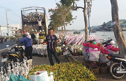 Mang vườn hoa Hà Lan về Sa Đéc