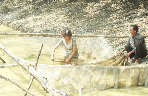 Tình yêu đẹp giữa cánh rừng đầy bom