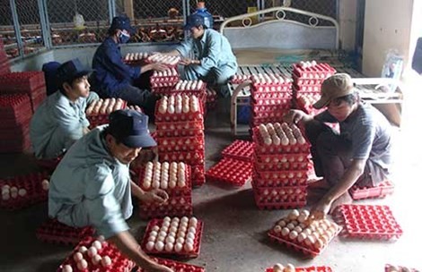Hàng loạt phí, lệ phí sẽ được bãi bỏ
