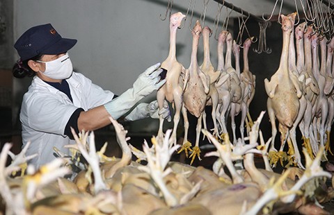 Phải bỏ ngay các loại phí, lệ phí bất hợp lý